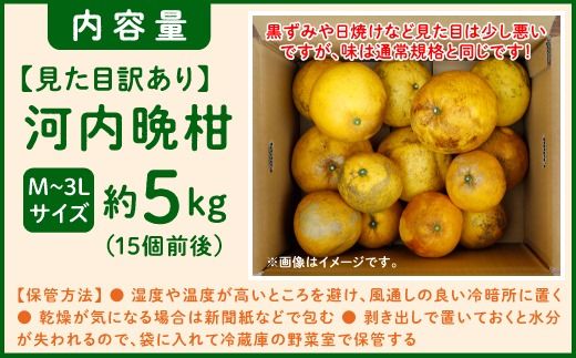 【先行予約】見た目だけが訳あり！吉本農園の木取り完熟愛南ゴールド（河内晩柑）約5kg＜柑橘 希少 果物 国産 フルーツ みかん 蜜柑 訳あり 家庭用 和製 グレープフルーツ ブランド 果実 ビタミン 愛媛県 鬼北町 ＞ ※2025年4月上旬～8月上旬頃に順次発送予定