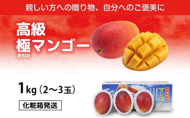 高級マンゴー　極１kg 【熱帯資源植物研究所】