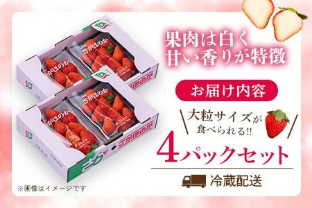 【先行受付 令和9年1月より発送】佐賀県産『さがほのか』4Pセット【いちご 苺 イチゴ 大粒 果物 フルーツ デザート ふるさと納税】(H108103)