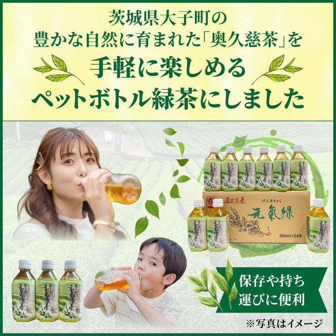 奥久慈茶 元気緑 (350ml×24本)|奥久慈茶　緑茶 日本茶 飲料 ペットボトル飲料 一番茶 国産 茨城県 大子町（AJ002）
