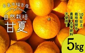 【先行受付】甘夏 5kg 【2026年3月下旬以降順次発送】【栽培期間中農薬・化学肥料不使用】 糸島市 / 大石ファーム [ATE044]