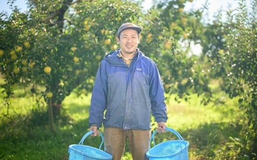 【訳あり】 ぐんま名月 約3kg 6～12玉 ［おぶせファーマーズ］ 不揃い 規格外 家庭用 果物 フルーツ りんご リンゴ 林檎 長野県産 信州産 令和7年産 【2025年11月上旬～12月下旬発送】 ［FH-55］