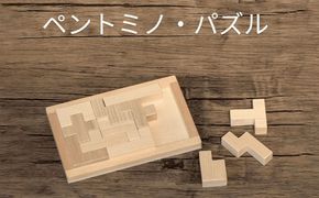 木製ブロック ペントミノ・パズル 知育玩具 脳トレ リハビリ 積み木 自然素材 愛西市 / クニミチ工芸[AECK002]