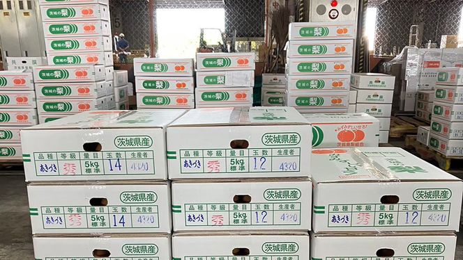 【 2026年9月上旬発送開始 】 茨城県産 梨 秋月 （約 5kg ） 10～14玉 フルーツ 果物 なし ナシ 旬 新鮮 期間限定 甘い 国産 先行予約 [CL004us]