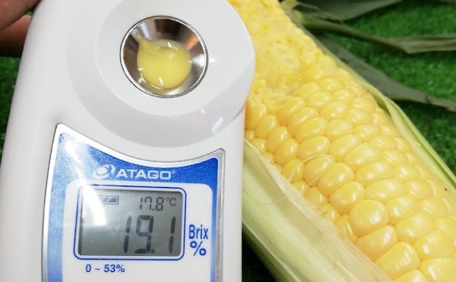 2026年発送先行予約 北海道 十勝 幕別産 とうもろこし 恵味ゴールド 10本「じゅんかん育ち」北王農林［十勝BISTRO下水道プロジェクト］【 とうもろこし とうきび コーン 野菜 フルーツ 甘い 】