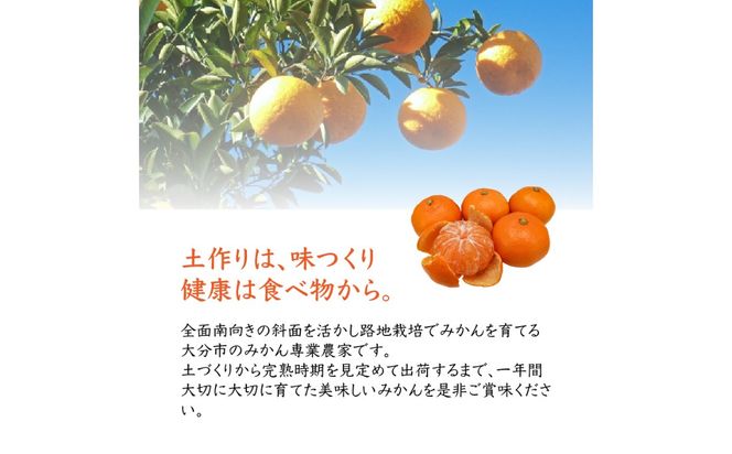 【C09023】森﨑農園のこだわりみかん　約5kg　極早生～ 早生～蔵出しまで