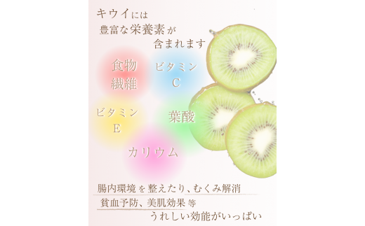 ＜2024年11月より発送＞厳選 キウイフルーツ1kg+30g（傷み補償分）※北海道・沖縄・離島配送不可 / 和歌山 フルーツ 果物 くだもの 旬 キウイフルーツ キウイ 栄養たっぷり【ikd700】