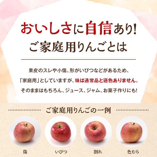【2026年11月下旬～発送予定】先行予約 訳あり りんご サンふじ 約10kg 24～40玉入 家庭用 フルーツ 果物 甘い おいしい 林檎 リンゴ