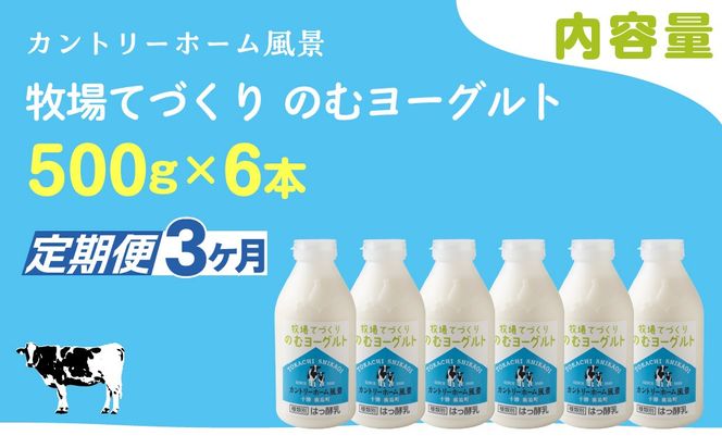 【定期3ヶ月】のむヨーグルト 500g ×6 SKB048