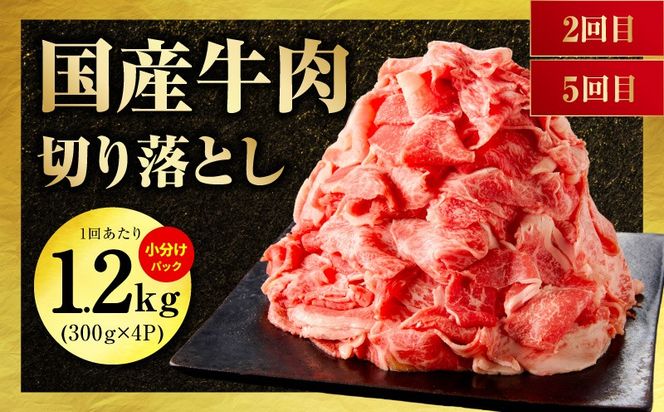 mrzZ018 国産 牛肉 豚肉 鶏肉 定期便 6回 総量 8.4kg 【氷温熟成×極味付け 3種 食べ比べ 普段使い 味付き 小分け 訳あり サイズ不揃い 毎月配送コース】