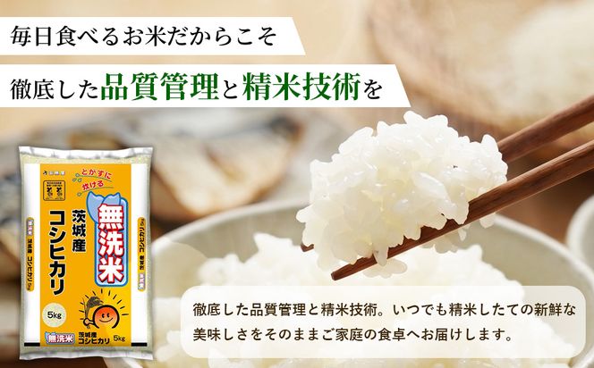 【令和8年産】茨城コシヒカリ【無洗米】 5kg | お米 米 無洗米 こしひかり 茨城県産 白米 ブランド米 小分け