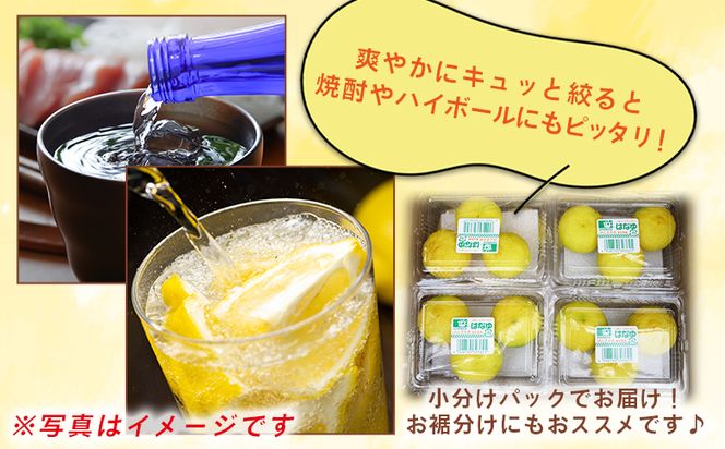 【2026年11月以降順次配送】虎弥太郎 はなゆ黄玉 16パック -  国産 ゆず 柚子 ユズ 花柚子 柑橘 香酸柑橘 果物 花皮果汁 フルーツ 果実 料理 酒 ハイボール 焼酎 アレンジ 焼き魚 小分け hy-0004