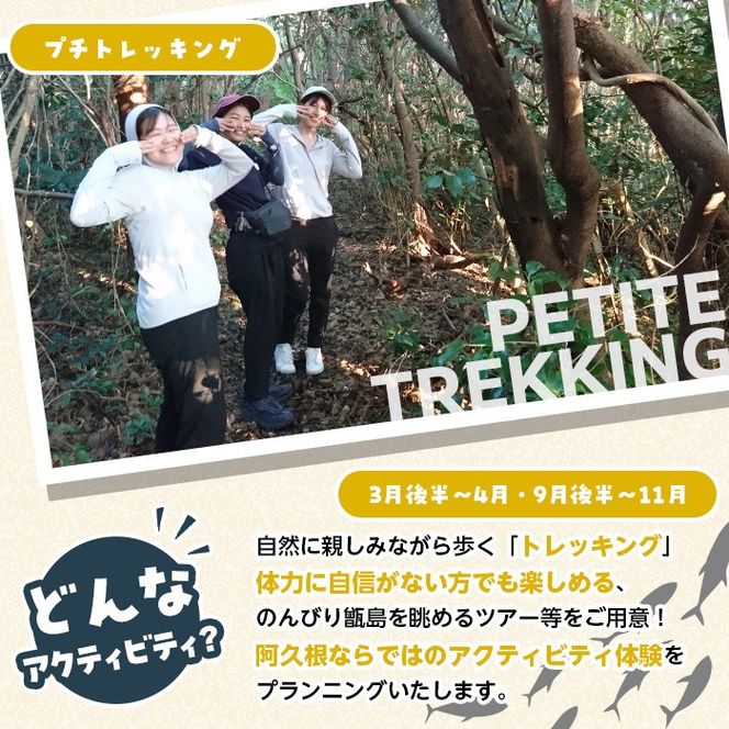 期間限定実施 マウンテンバイク体験チケット(1日/3名) 阿久根 MTB アウトドア アクティビティ 自然 体験 ツアー チケット 海 コーヒー お菓子【パズル】akn098-14