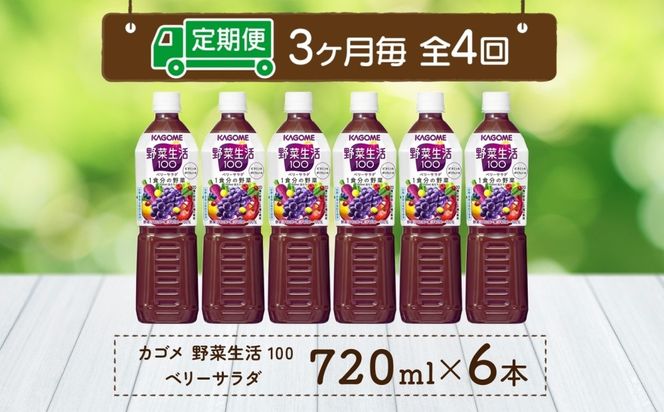 ns038-075　【定期便】3ヵ月毎全4回野菜生活100 ベリーサラダ 720mlPET