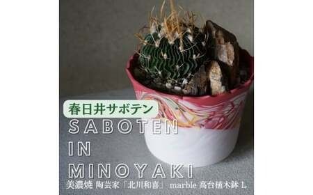 多治見市×春日井市コラボ 【美濃焼】 陶芸家「北川和喜」 marble 高台植木鉢 L × 【日本有数のサボテン産地】 春日井市の名店 後藤サボテン