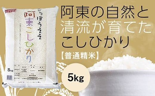 D515 阿東こしひかり（普通精米5kg）