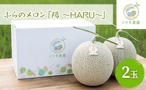 【2026年7月上旬より順次発送】ふらのメロン「陽 ～HARU～」大玉 2玉 計4.6kg以上 ( 赤肉 )( くりす農園 )