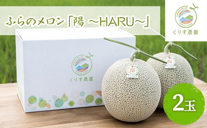 【2026年7月上旬より順次発送】ふらのメロン「陽 ～HARU～」大玉 2玉 計4.6kg以上 ( 赤肉 )( くりす農園 )