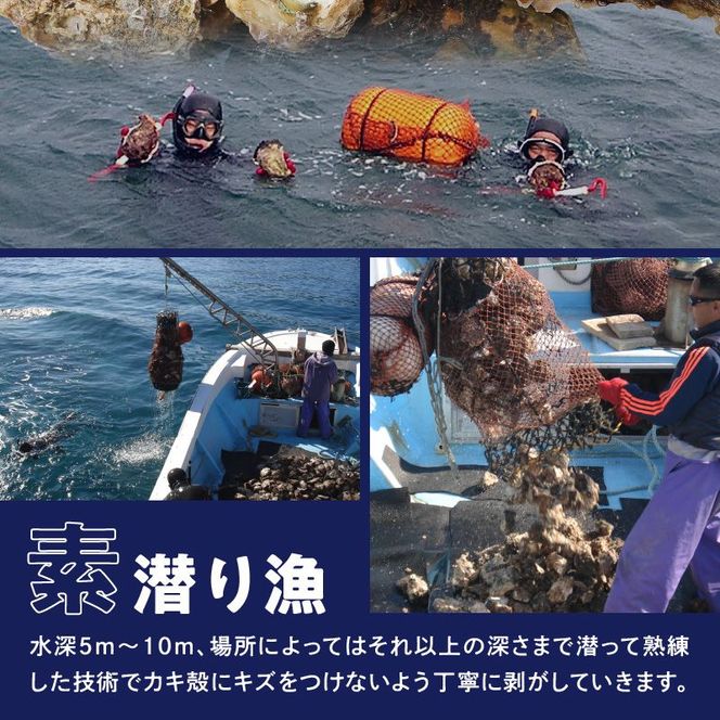 延岡産天然岩牡蠣（生食用）3kg（中）（2026年4月15日から発送開始） N036-YZA526