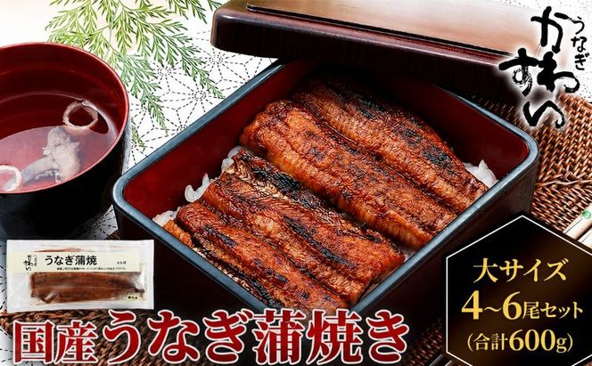 国産うなぎ  蒲焼き 大サイズ 4～6尾セット(合計600g) タレ付き 国産 うなぎ ウナギ 鰻 蒲焼 かば焼き セット 惣菜 冷凍 土用