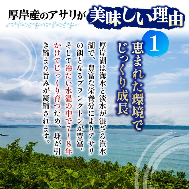 翌日配送 航空便 北海道 厚岸産 あさり 500g×2パック (合計1kg) 大中混合 アサリ 魚貝 海 美味しい 栄養 旨み 砂出し 水洗い 冷蔵 冷凍保存可能 便利