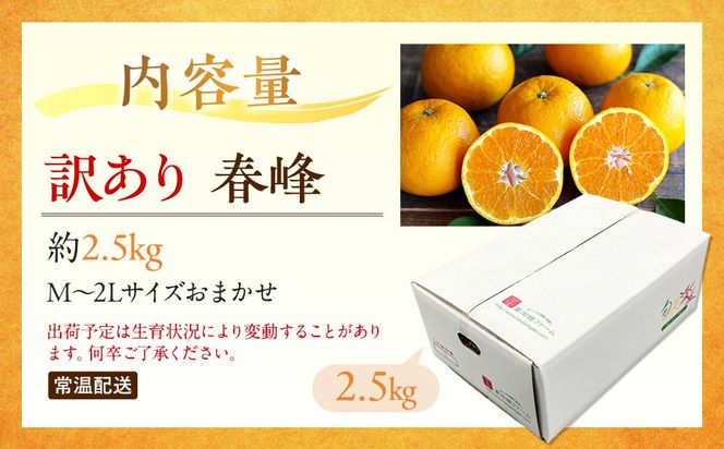 訳あり 春峰 2.5kg M～2Lサイズおまかせ 高石垣ファーム   K015