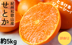  【ご家庭用訳あり】 紀州 和歌山産 せとか 5kg 先行予約  / みかん フルーツ 果物 くだもの ※2027年2月中旬頃〜3月中旬頃発送（お届け日指定不可） ※離島への配送不可 【uot748A】