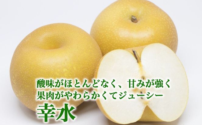 【射水のおいしい果実】【梨】直売所直送　野開梨園の“呉羽梨”　幸水5kg（14～16個／箱）※2026年8月～発送