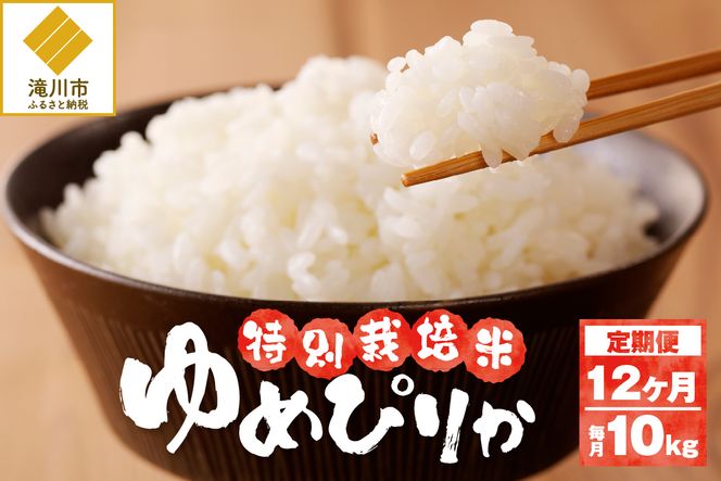 《令和7年産》特別栽培米ゆめぴりか 10kg×12ヵ月定期便 | 16年連続特A ブランド米 白米 精米 米 お米 こめ 減農薬 単一原料米 ご飯 北海道米 北海道 滝川市