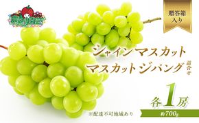 ぶどう 2026年 先行予約 シャイン マスカット 1房 マスカット ジパング 1房 各約700g 詰合せ 贈答箱 ブドウ 葡萄 フルーツ 果物 岡山 赤磐市産 農マル園芸 あかいわ農園 