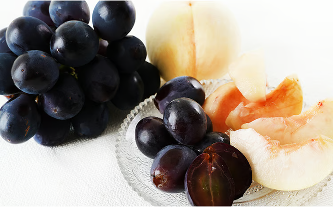 桃 ぶどう 2026年 先行予約 果物 詰合せ 白桃 2玉（1玉220g以上）ニューピオーネ 2房（1房480g以上）化粧箱入り もも 葡萄 岡山県産 国産 フルーツ 果物 ギフト 上品な甘み とろける 強い甘み 酸味 [№5735-1468]