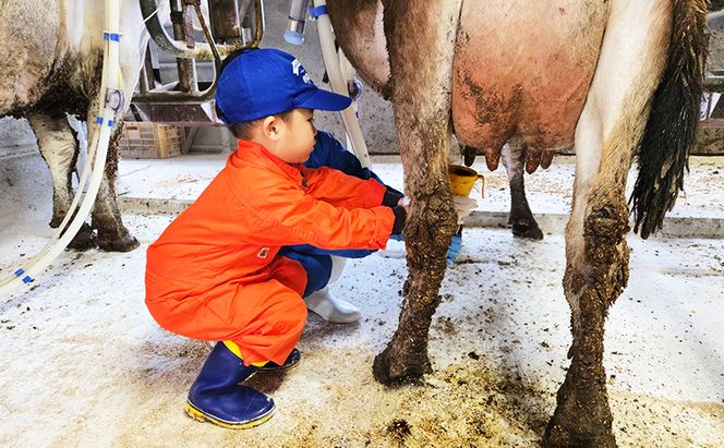酪農体験チケット 子供1名 【 体験チケット 酪農 北海道 幕別町 牛 搾乳 牧場 自然 】