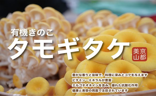 京都府産オーガニック　タモギタケ（6パック入り約720g）