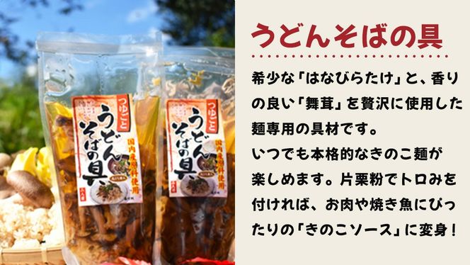 きのこ の 加工品 詰め合わせ 5点セット （茨城県共通返礼品：城里町） きのこミックス 野菜 水煮 国産 きのこ ご飯の素 国産 うどん そばの具 乾燥 しいたけ 乾燥 きくらげ バラエティ セット 乾燥きのこ  [DY004us]