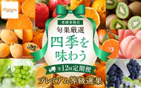 【定期便全12回】旬果厳選！四季を味わう単品定期便♪～プレミアム等級選果～ 372013_GM025