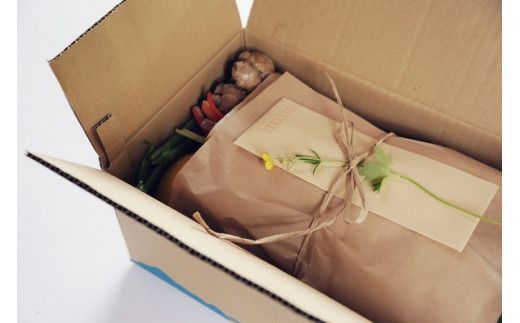 旬の朝採れ土佐野菜詰め合わせ(10～13品目)【土佐市】【株式会社SIMA】 [BQAZ002]