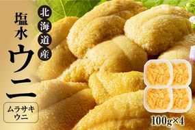 【先行受付】北海道産　世壱屋塩水ウニ（ムラサキウニ）400g_Y038-0145