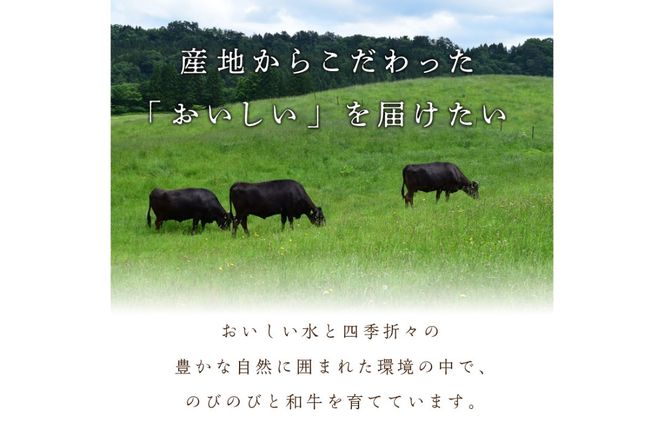 【定期便　毎月×6回】京都産和牛　食べ比べ定期便　6種/寄附額200,000円コース　【京都モリタ屋専用牧場】　牛肉　MO00019