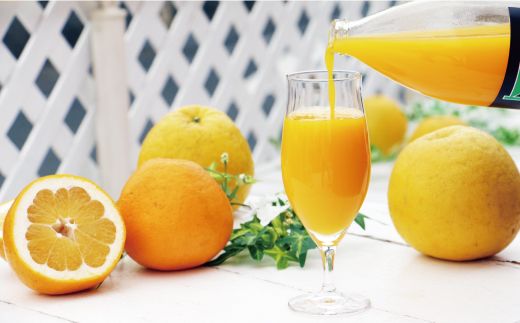 みかん 果汁 100% ストレート ジュース 3本 セット （ 1000ml × 3本 ） ぽんかん はるか 河内晩柑 愛南ゴールド 10000円 1万円 数量限定 期間限定 高級 贈答 ギフト プレゼント 母の日 敬老の日 おやつ 国産 フルーツ 果物 柑橘 産地直送 農家直送 特産品 完熟 濃厚 人気 限定 甘い こどもの日 ジューシー 新鮮 果実 さわやか 愛媛県 愛南町  くらもとファーム