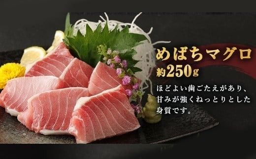 【 定期便 5回 】 厳選 天然マグロ 2種 セット 650g ( めばちマグロ 250g・ びんちょうまぐろ 400g) 2種類 ふるさと納税 限定 食べ比べ まぐろ 鮪 魚 魚介類 刺身 海鮮 まぐろ丼 手巻き寿司 海鮮丼 冷凍 サク 送料無料 目鉢 ビンチョウ さしみ 刺し身 頒布会 人気 定期便 数量限定 期間限定 訳アリ 訳あり わけあり 高知県 室戸市