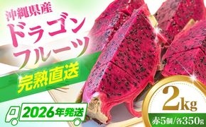 【2026年発送 先行受付】 完熟ドラゴンフルーツ 2kg (5玉) 果物 フルーツ スーパーフード 産地直送 無農薬 沖縄市 / タカエスフルーツ＆ベジタブル[BCBH004]
