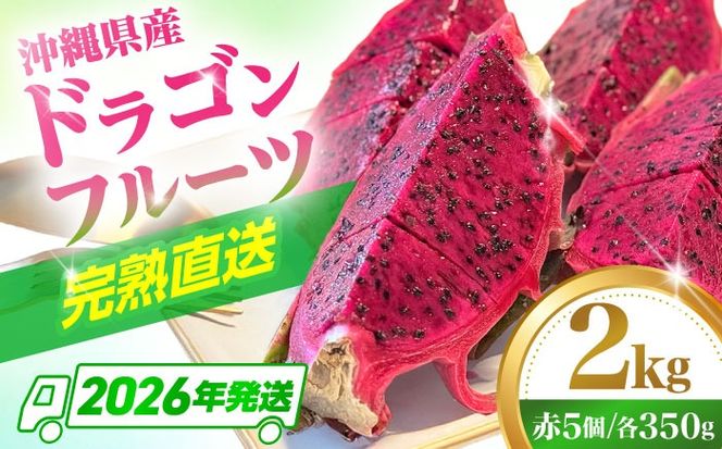 【2026年発送 先行受付】 完熟ドラゴンフルーツ 2kg (5玉) 果物 フルーツ スーパーフード 産地直送 無農薬 沖縄市 / タカエスフルーツ＆ベジタブル[BCBH004]