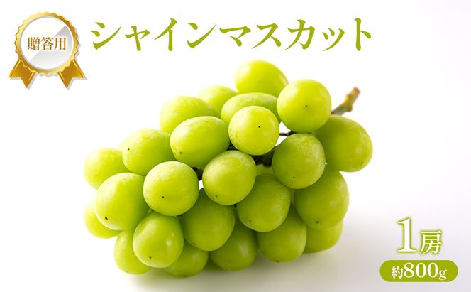 ぶどう 2026年 先行受付 贈答用 シャインマスカット 1房 約800g フルーツ 果物 岡山 赤磐市