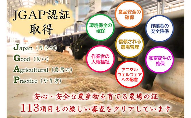 【飛騨牛】海津市産ロースステーキ250g×3 【配達不可：離島】 お肉 牛肉 ステーキ用 国産 岐阜県産 ブランド牛 夕飯 記念日 ディナー 柔らかい サシ 霜降り ボリューミー とろける 旨味 