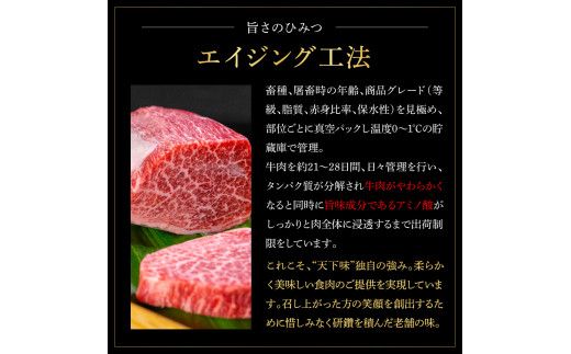 土佐あかうし＆土佐和牛2種食べ比べ 特選スネ肉煮込み角切り500g 計2P 田野屋銀象完全天日塩2P付 牛肉 肉 お肉 和牛 国産 牛 赤身 ヒレ カルビ ロース ブロック【株式会社LATERAL】 [BQAU075]