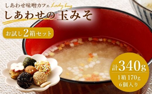 yÖsz킹̋ʂ݂  2Zbg v340g(170g(6)×2)