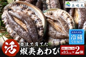 《12/21まで年内発送》【冷蔵 活あわび 養殖 9.5cm×2枚 200～240g (1個100～120g）】満点青空レストラン うまい！おせち2023に採用されました！アワビ 鮑 活アワビ あわび 海鮮貝 魚介 お刺身 BBQ バター焼き 新鮮 日本海 養殖 昆布 レシピ入り 人気 テレビ 紹介 話題 高級 香美町 香住 山陰 美嶋丸 15000円 20-12