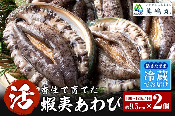 yɌzy①  {B 9.5cm×2 200`240g (1100`120gjzڈFmF1x  Z  20-12