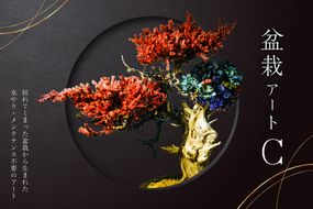 盆栽アート【C】【0120-003】	