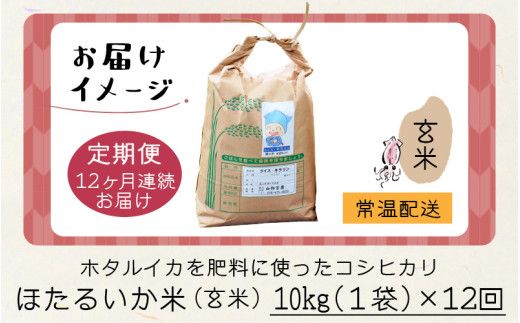 【訳あり】ほたるいか米（玄米10kg）×12回 計120kg【12ヶ月定期便】